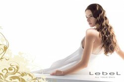 �������������� ������� Lebel